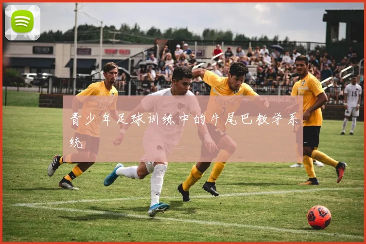 青少年足球训练中的牛尾巴教学系统