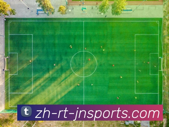 江南体育平台生态图